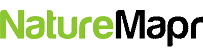 logo link