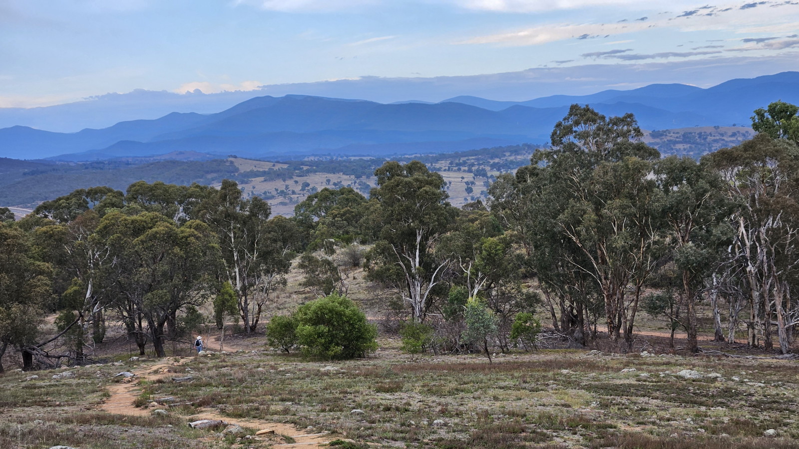 fog on the Molonglo