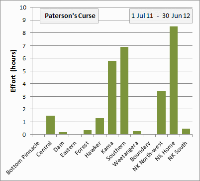 patersons curse